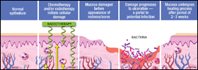 Medical Graphic Design example by Syntaxx Communications
